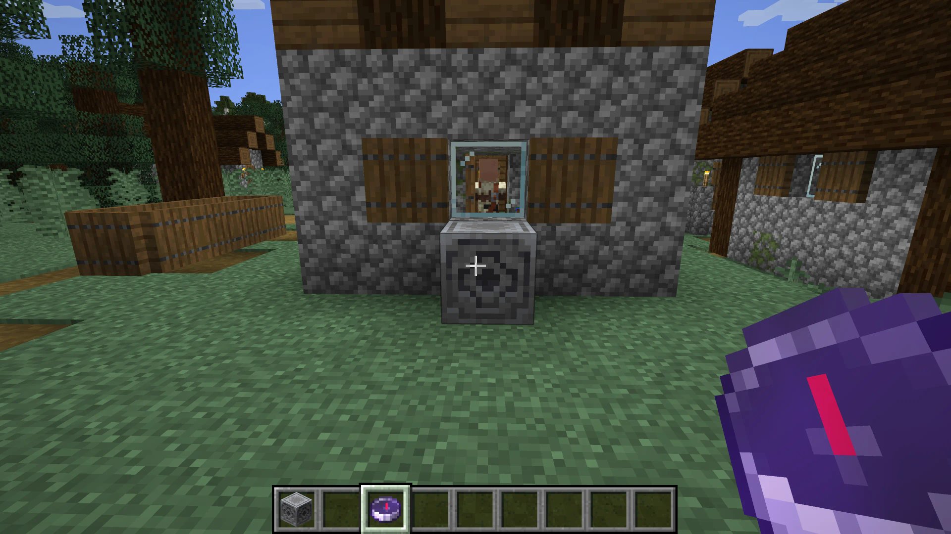 只狼：影逝二度 完整版 截图11